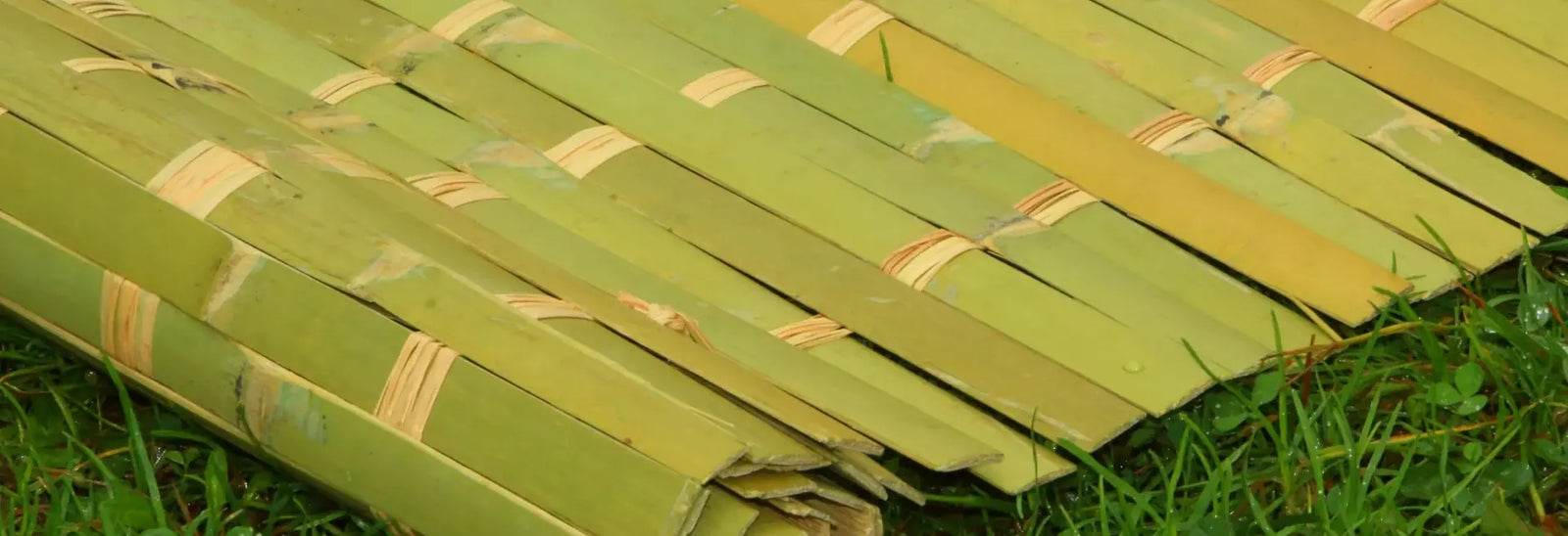 Close-up of kosher bamboo schach mats laid on grass, used for traditional sukkah roofing during Sukkot.
