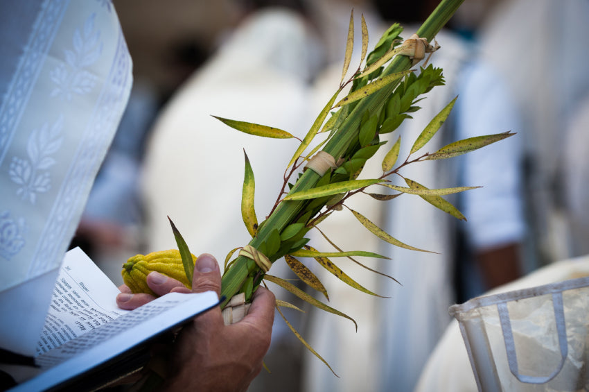 Understand the Sukkot Blessings and When to Say Them