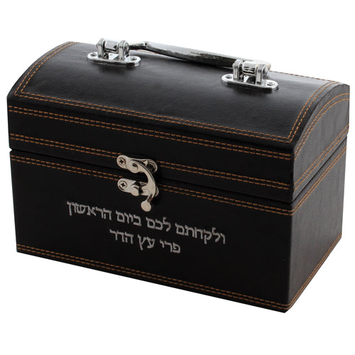 Leather Look Esrog Box with Handle and Lock - Sukkah Market